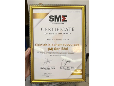 SME Market Outlook 2024